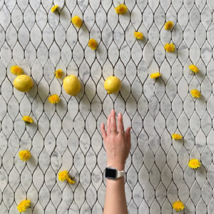 Längliches tropfenförmiges Carrara-Wasserstrahlmosaik